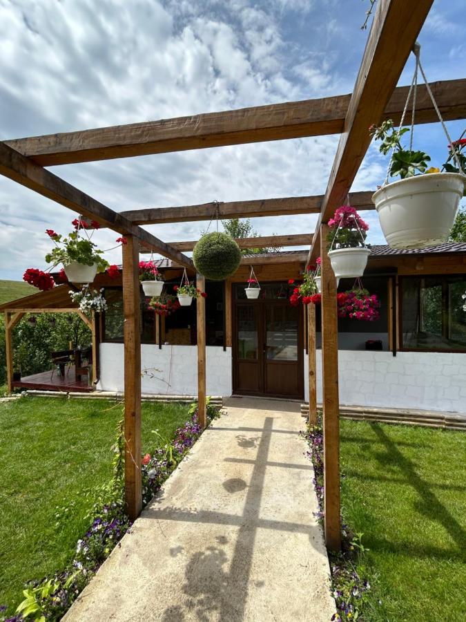Villa Casa Eden Fit Faget  Exterior foto